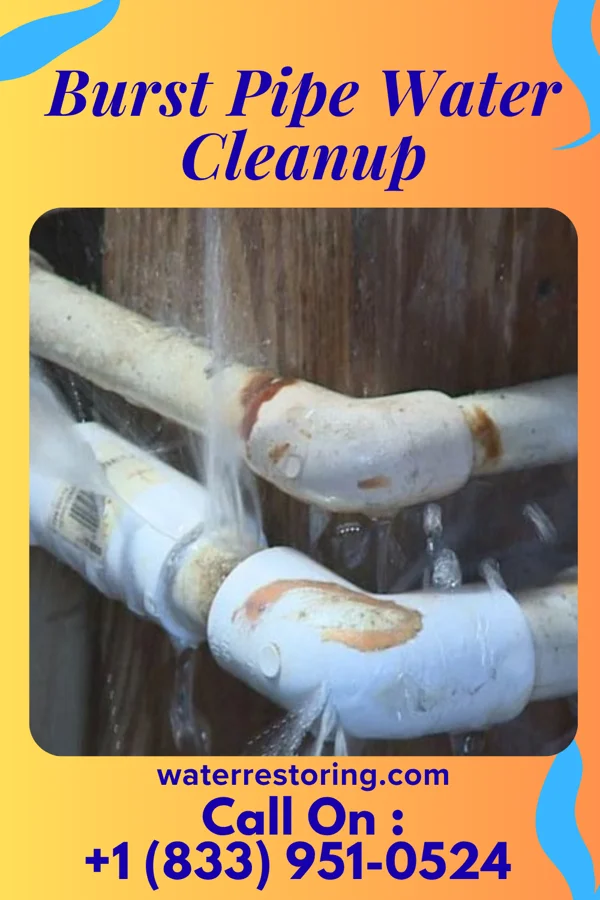 Burst Pipe Water Cleanup in Enlow, PA