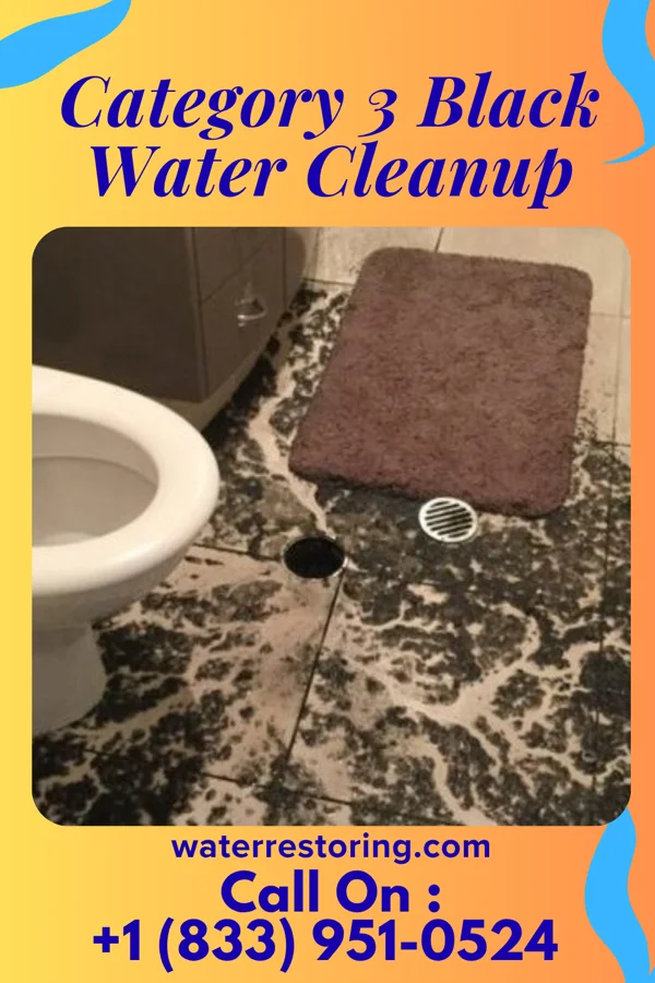 Category 3 Black Water Cleanup in Enlow, PA