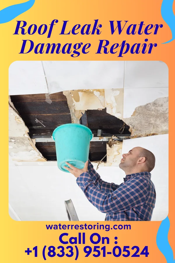 Roof Leak Water Damage Repair in Enlow, PA
